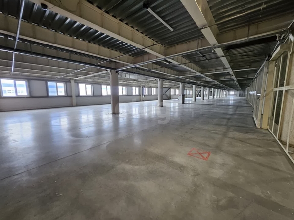 
  Сдается производственное помещение 6897 м². Фото 14.