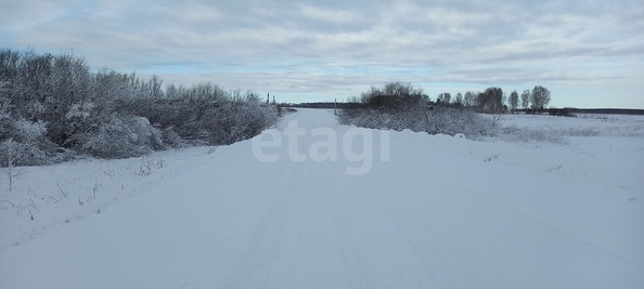 
  Продается земельный участок 99.98 соток. Фото 3.