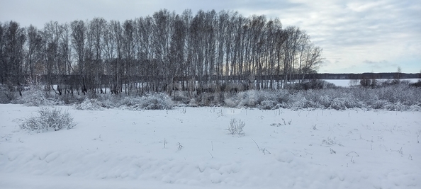 
  Продается земельный участок 99.98 соток. Фото 5.