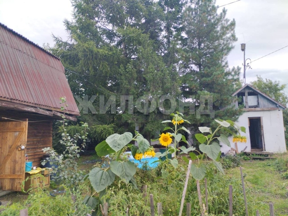 
  Продается дача 36 м². Фото 11.