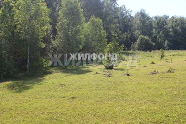 
  Продается земельный участок 24 сотки, в КП Индия. Фото 5.