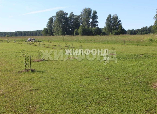 
  Продается земельный участок 24 сотки, в КП Индия. Фото 6.