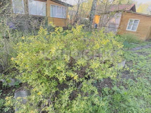 
  Продается дача 40 м². Фото 9.