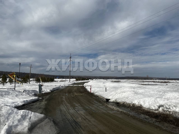 
  Продается земельный участок 10 соток. Фото 8.
