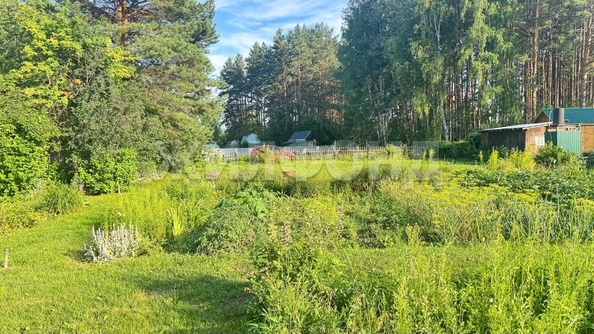
  Продается дача 20 м². Фото 6.