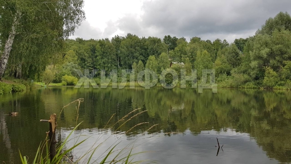 
  Продается дача 60 м². Фото 19.