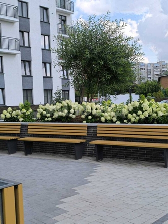 
  Продается 1-комн. квартира 37.2 м², в ЖК Парково. Фото 20.