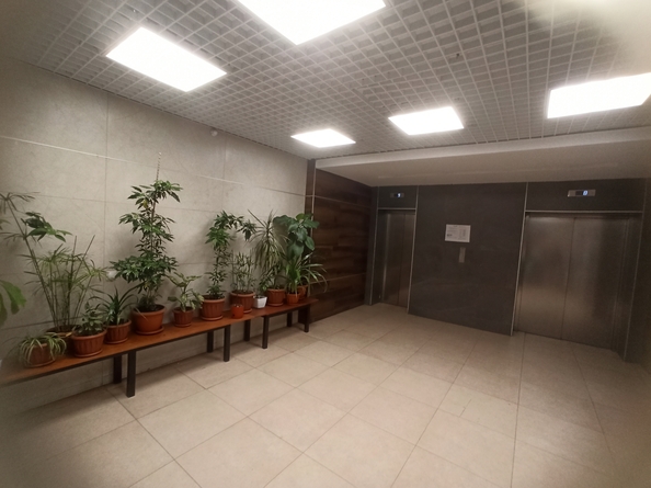 
  Сдам 1-комн. квартиру 30.7 м². Фото 5.