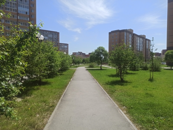
  Сдам 1-комн. квартиру 30.7 м². Фото 8.