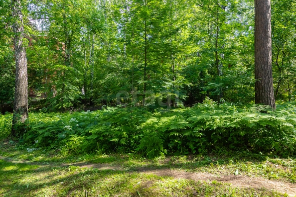 
  Продается 1-комн. квартира 31.2 м². Фото 14.
