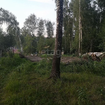 
  Продается земельный участок 9 соток. Фото 2.