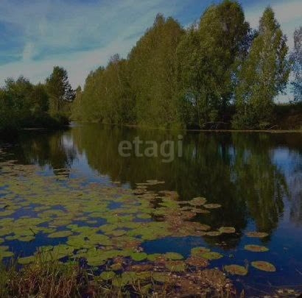 
  Продается земельный участок 12 соток. Фото 5.