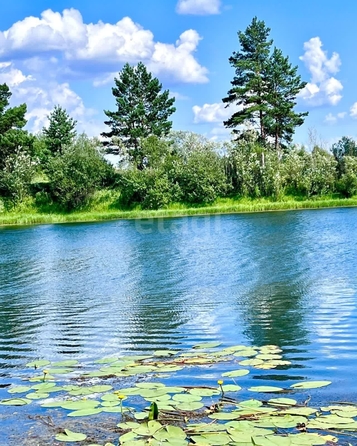 
  Продается земельный участок 8000 соток. Фото 4.