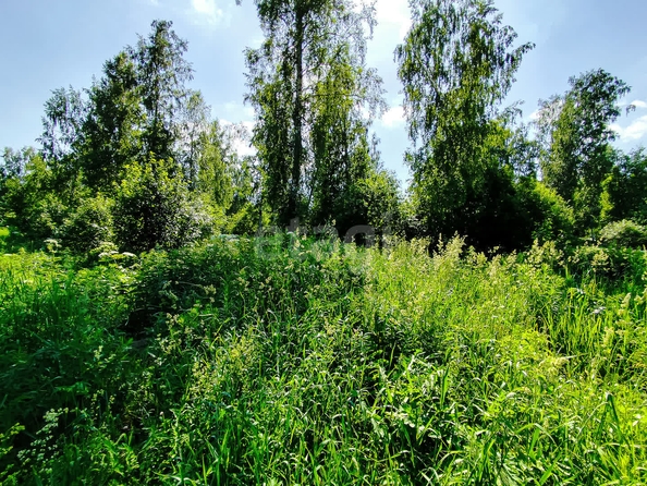 
  Продается земельный участок 10 соток, в КП Гармония. Фото 10.