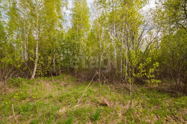 
  Продается земельный участок 11.9 соток. Фото 4.