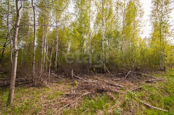 
  Продается земельный участок 11.9 соток. Фото 6.