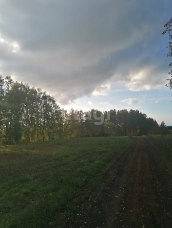 
  Продается земельный участок 1291.6 сотка. Фото 12.