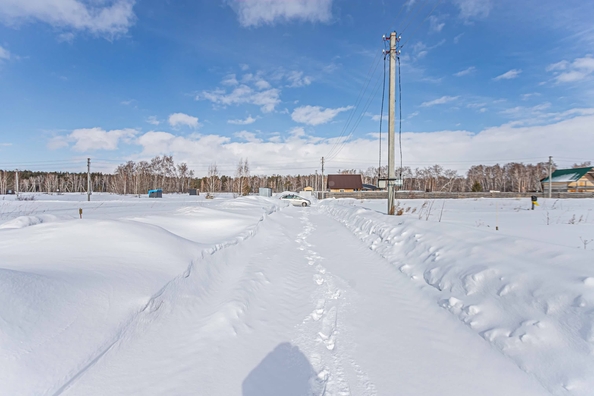 
  Продается земельный участок 8 соток. Фото 17.