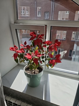 
  Продается 4-комн. квартира 140 м². Фото 26.