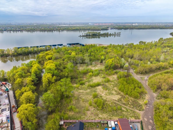 
  Продается земельный участок 65 соток. Фото 5.