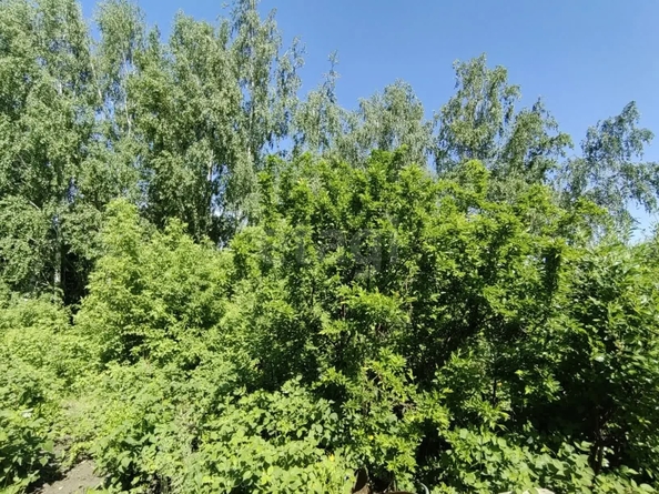 
  Продается дача 16 м². Фото 7.