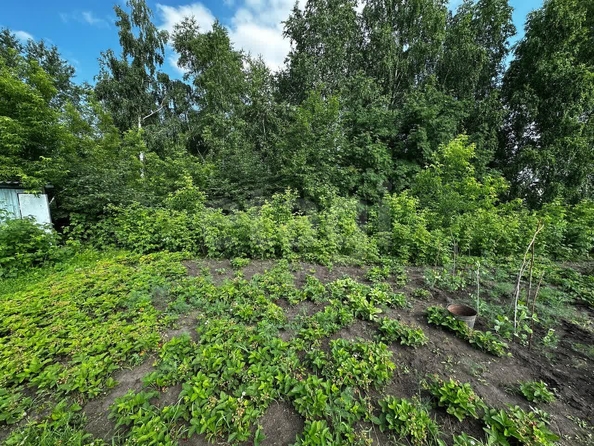 
  Продается дача 16 м². Фото 17.