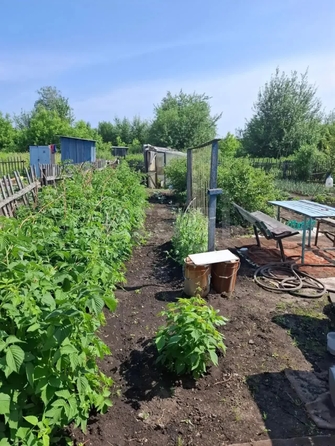 
  Продается дача 42 м². Фото 10.