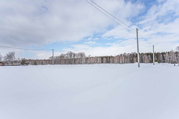 
  Продается земельный участок 8 соток. Фото 5.