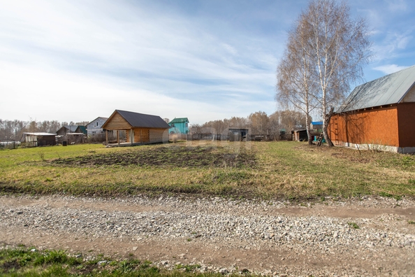 
  Продается земельный участок 6 соток. Фото 4.