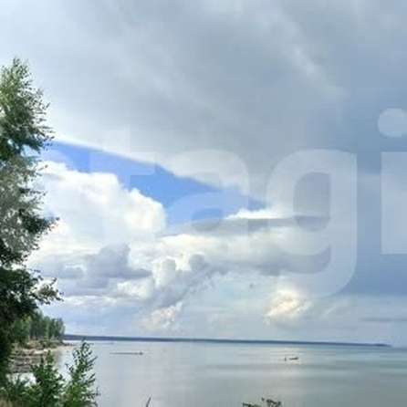 
  Продается земельный участок 20 соток. Фото 6.