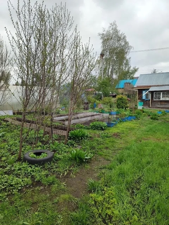 
  Продается дача 43 м². Фото 8.
