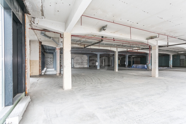 
  Продается универсальное помещение 469.8 м². Фото 13.