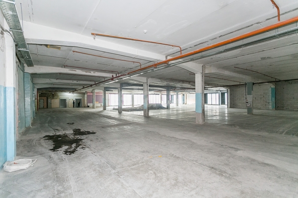 
  Продается универсальное помещение 944.9 м². Фото 26.