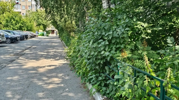 
  Продается 2-комн. квартира 43 м². Фото 25.