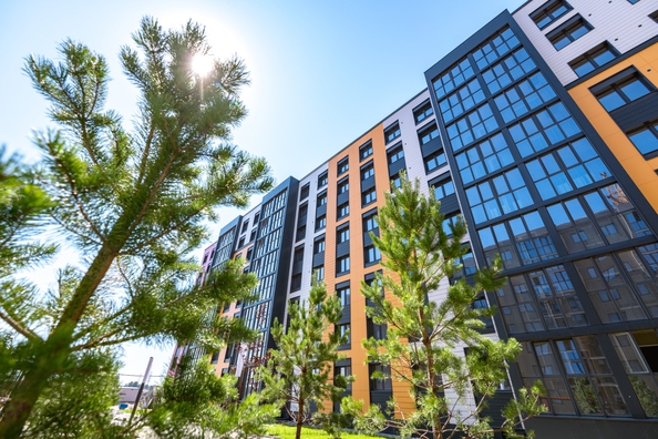 
  Продается 2-комн. квартира 50.7 м², в ЖК Фламинго, дом 20. Фото 11.