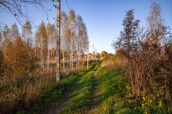 
  Продается земельный участок 12 соток. Фото 3.