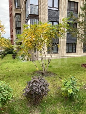 
  Продается студия 21.3 м², в ЖК Чернышевский, б/с 1.1, 1.2. Фото 19.