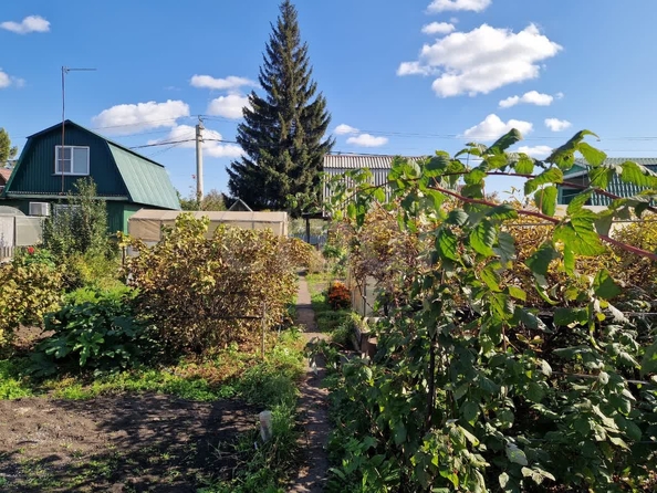 
  Продается дача 38 м². Фото 6.