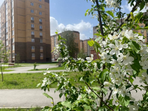 
  Продается 2-комн. квартира 44.9 м², в ЖК Дивногорский, дом 43. Фото 11.