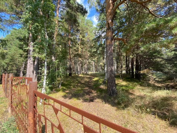 
  Продается земельный участок 362.86 сотки. Фото 22.