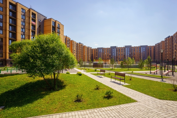 
  Продается 1-комн. квартира 31.2 м², в ЖК Цивилизация, дом 2. Фото 8.