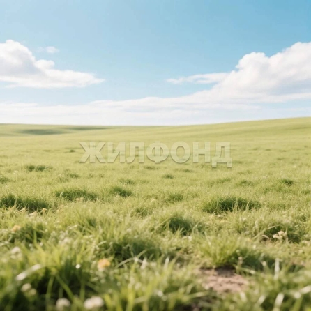 
  Продается земельный участок 150.77 соток. Фото 2.