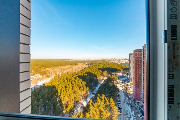 
  Продается 1-комн. квартира 45.8 м², в ЖК Бирюзовая жемчужина-4. Фото 20.