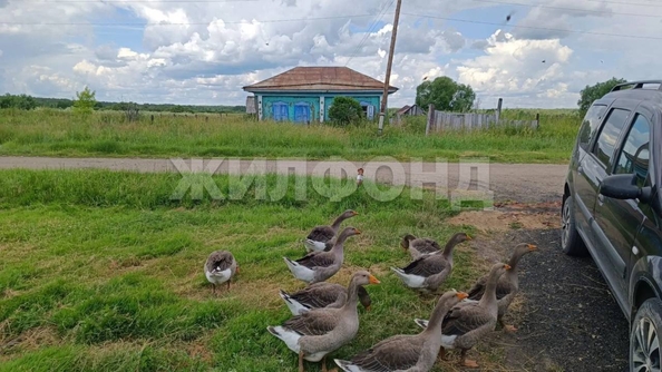 
  Продается дом 35.1 м². Фото 3.