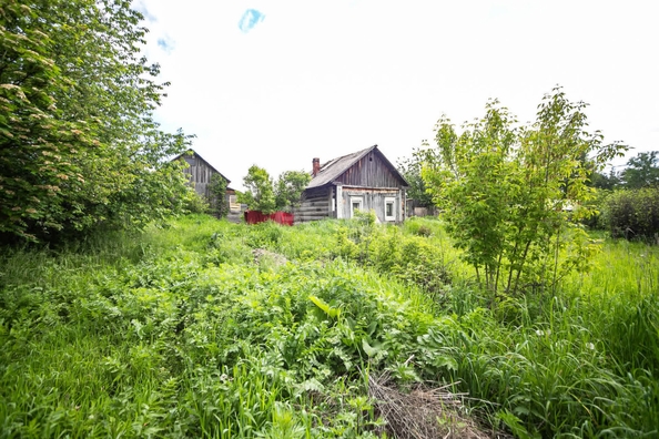 
  Продается земельный участок 20 соток. Фото 5.