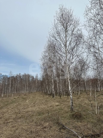 
  Продается дом 63.9 м². Фото 12.