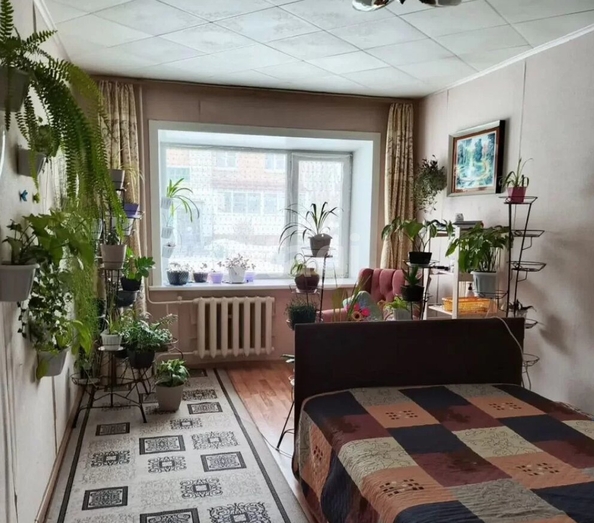 
  Продается 1-комн. квартира 24 м². Фото 4.