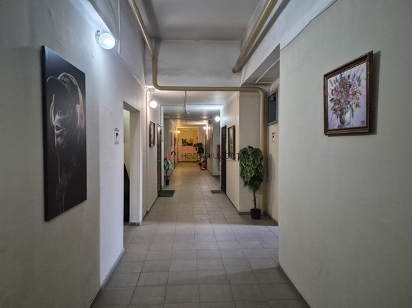 
  Сдается 1-комн. квартира 24.6 м². Фото 14.