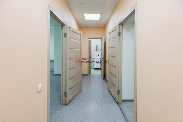 
  Сдается офис 175.4 м². Фото 29.