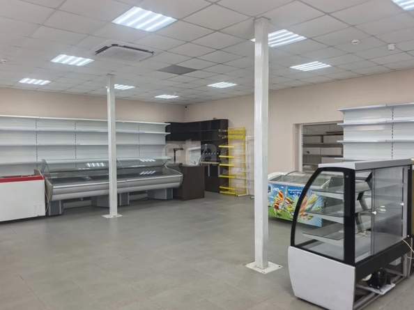 
  Продается торговая площадь 231.5 м². Фото 11.